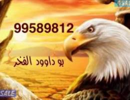  للاجارشقه غرب عبدالله مبارك ق1 