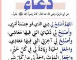  للإيجار شقق للعؤائل بالجهراء غرفتين وصاله وستديو من المالك مباشر 
