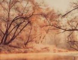  مطلوب بيت اجار في النهضه دورين سنترال لعائله كويتيه صغيره 