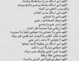  السلام عليكم ابحث عن دور بالبيت الصفر جليب الشيوخ لعائله كويتيه وشكرا 