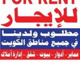  للإيجار شقه ف المهبوله ع الشارع الرئيسي مقابل الفنطاس الزراعي 