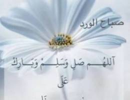  مطلوب غرفة ساييق للايجار في منطقة أبوفطيرة أو الفنيطيس أو الفنطاس 