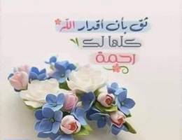  للإيجار بالجهراء 