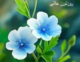  للايجار شقه  بهديه ق٤ ارضيه مدخل خاص ٣ غرف نوم 