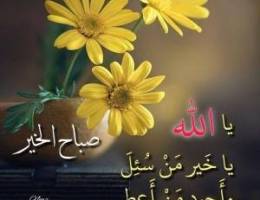  للايجار شقه بسعد العبدالله ٣غرف ٢حمام وصاله ومطبخ غرفة خ 