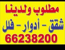  للإيجار أدوار كامله جنوب عبدالله المبارك 