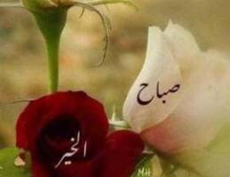  للايجار شقه بالرابيه ٣غرف ٣حمام وصاله ومطبخ وغرفة خ 