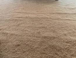  شقة بصباح السالم 