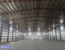  صليبيه كبد مينه شعيبه 