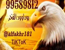  للاجار شقه الدوحه ق1 