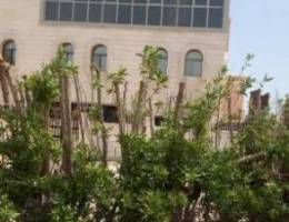  للايجار بيت بالشامية 