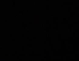  جابر الاحمد 