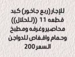  للإجار ربع جاخور للحلال كبد 