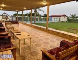  للإيجار اليومي مزارع في الوفرة 